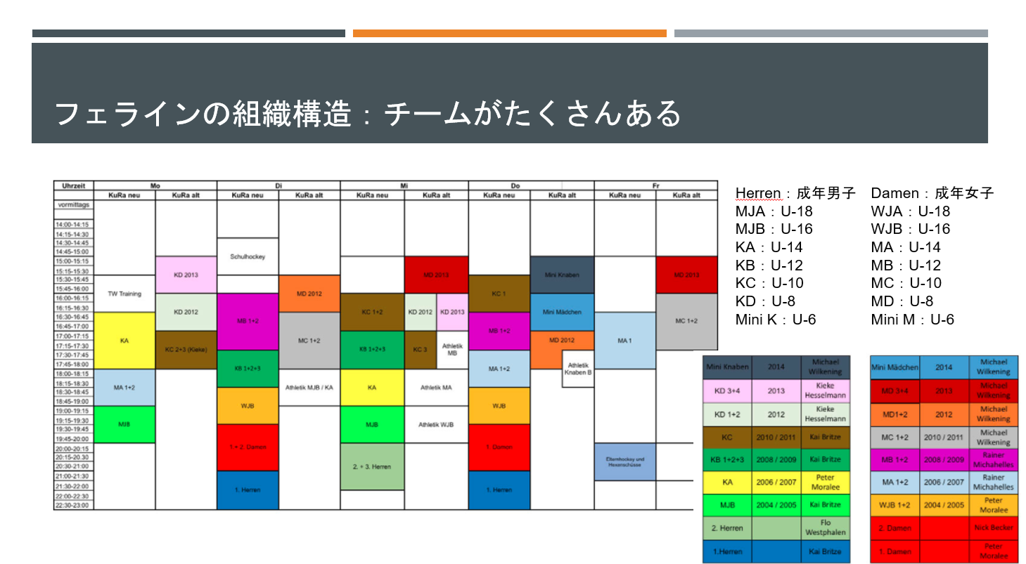 フェラインの組織構造